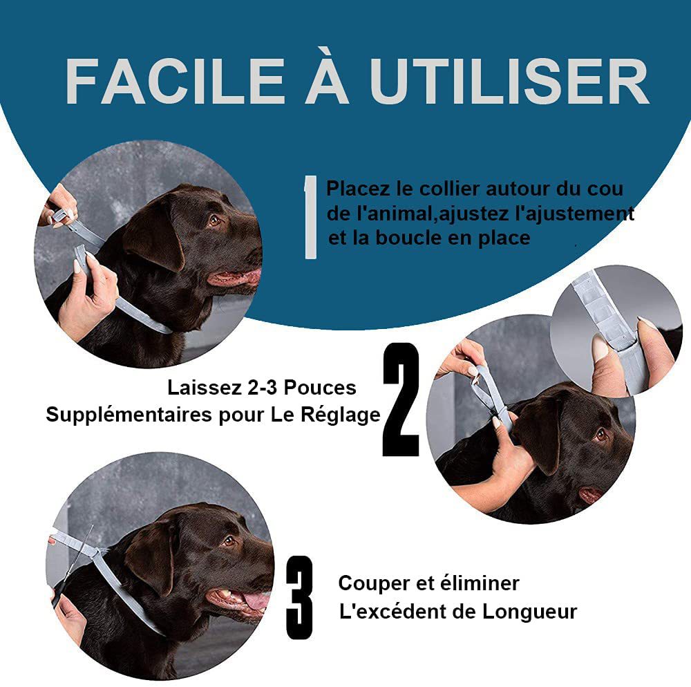 Floh- und Läuseschutzring für Katzen, Insektenschutzhalsband für Haustiere (In-vitro-Insektenschutz), Hundehalsband, Katzenzubehör
