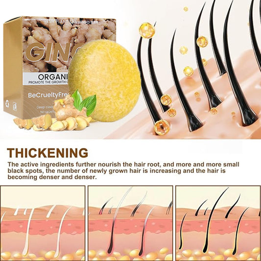 Ingwer-Shampoo-Seife, Kokosnuss-Haarpflegeseife, handgefertigt