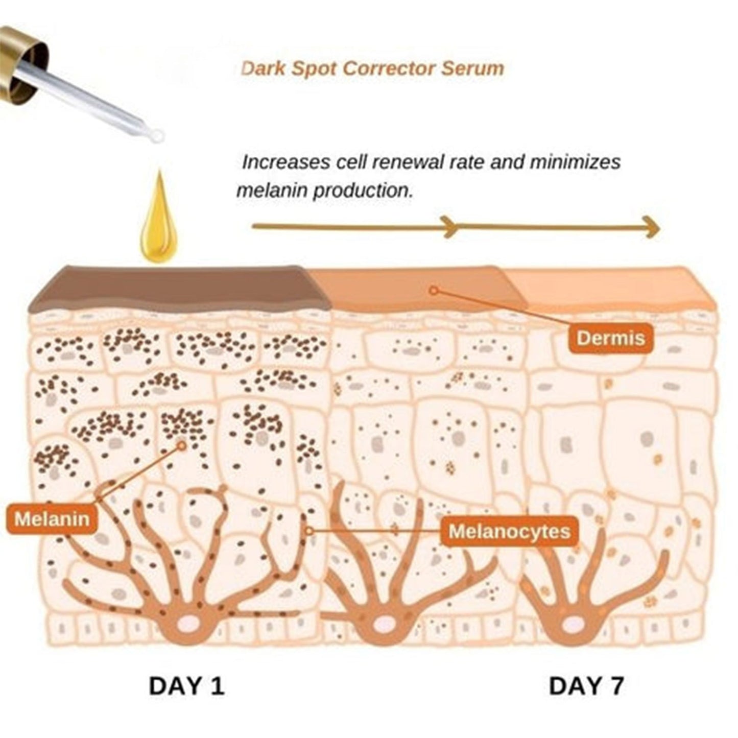 Aufhellende und feuchtigkeitsspendende Essenz zur Reduzierung von Pigmentflecken und zur Hautverjüngung