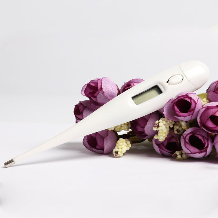 Elektronisches Thermometer