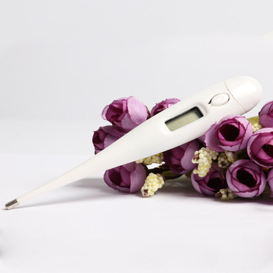 Elektronisches Thermometer