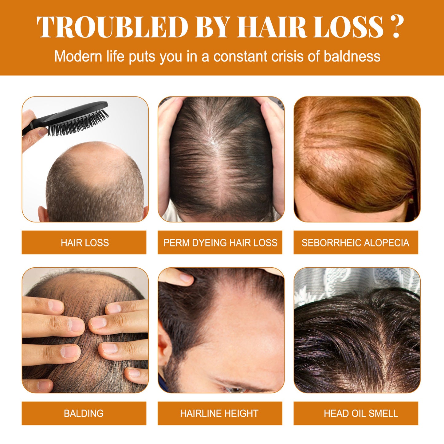 Pferdeöl-Shampoo – Tiefenreinigung der Kopfhaut, Schuppenkontrolle, Ölregulierung, für voluminöses, geschmeidiges Haar, Feuchtigkeitspflege