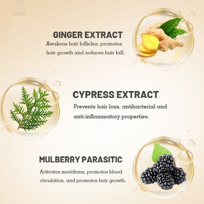 Ingwer-Shampoo gegen Haarausfall, Schuppen und dichtes Haar