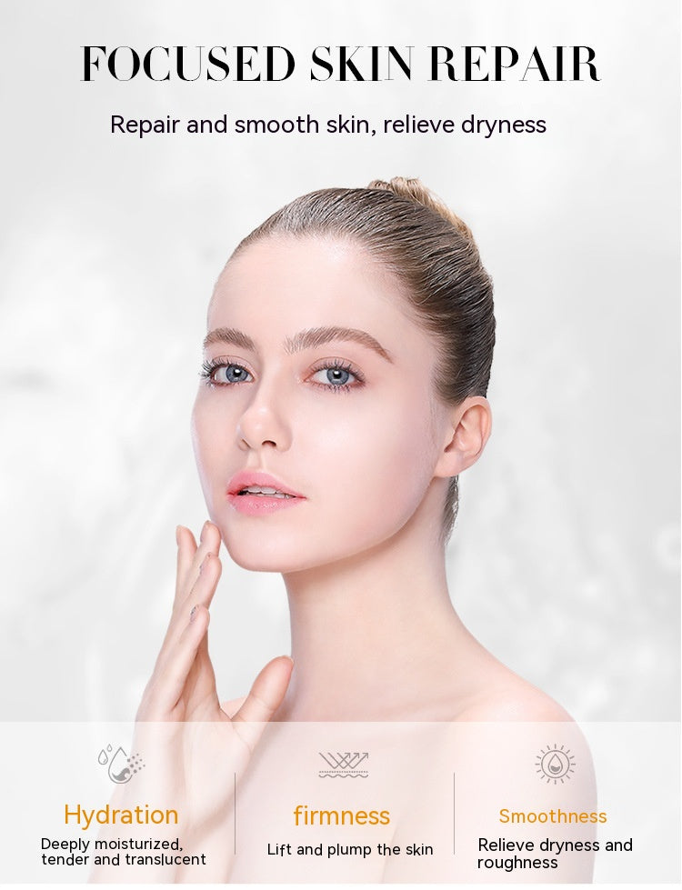 Zweiteiliges Hefe-Nährbox-Set (sechsteilig)