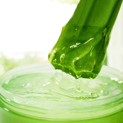 Aloe-vera-Gel