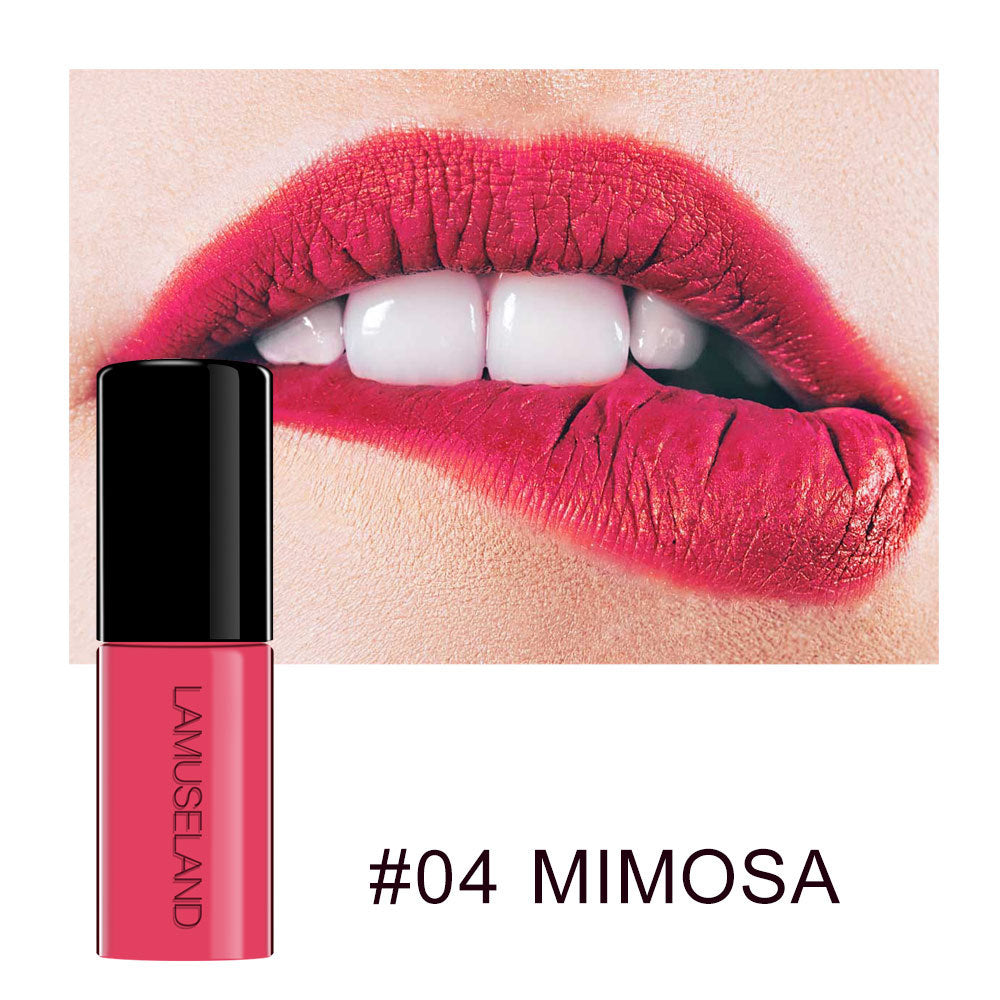 12 Farben, haltbar, wasserfest, antihaftbeschichtet, Lippenstiftprobe, matt, Lip Glaze