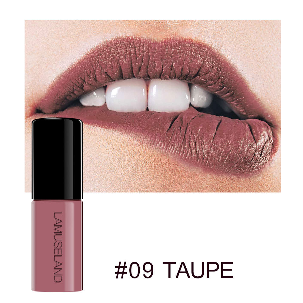 12 Farben, haltbar, wasserfest, antihaftbeschichtet, Lippenstiftprobe, matt, Lip Glaze