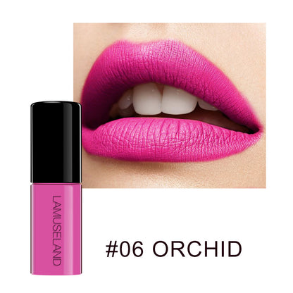 12 Farben, haltbar, wasserfest, antihaftbeschichtet, Lippenstiftprobe, matt, Lip Glaze