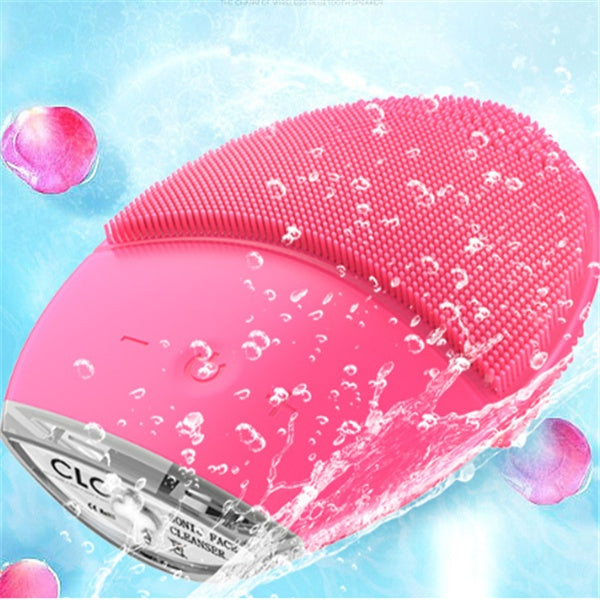 Elektrische Gesichtsreinigung