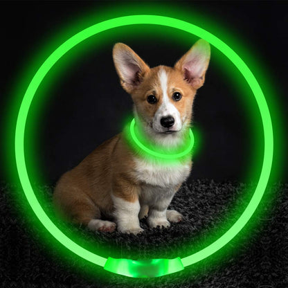 Blinkendes Haustierhalsband, USB-aufladbar, leuchtende Halskette, Sicherheitshalsband, Leuchthalsband für nächtliche Spaziergänge, elektrisches Hundehalsband, Neon