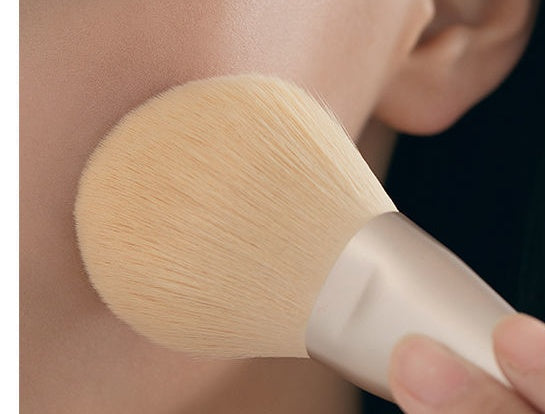 Mixed Hair Makeup Set Brush Foundation Cover