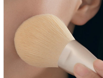 Mixed Hair Makeup Set Brush Foundation Cover