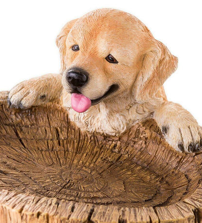 Gartendekoration Waschbär Harzornamente Kunsthandwerk Gartenarbeit Vogel Trinkornamente