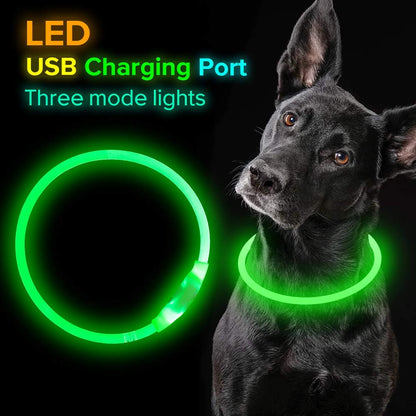 Blinkendes Haustierhalsband, USB-aufladbar, leuchtende Halskette, Sicherheitshalsband, Leuchthalsband für nächtliche Spaziergänge, elektrisches Hundehalsband, Neon