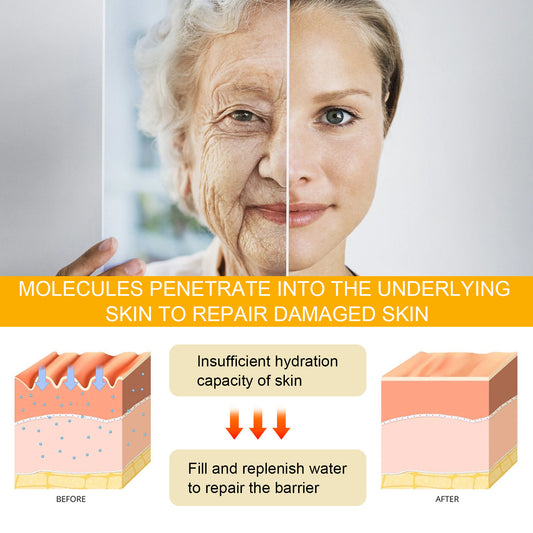 Augen-, Haut- und Gesichtspflege mit Ginseng