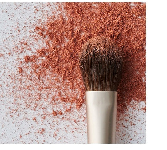 Mixed Hair Makeup Set Brush Foundation Cover