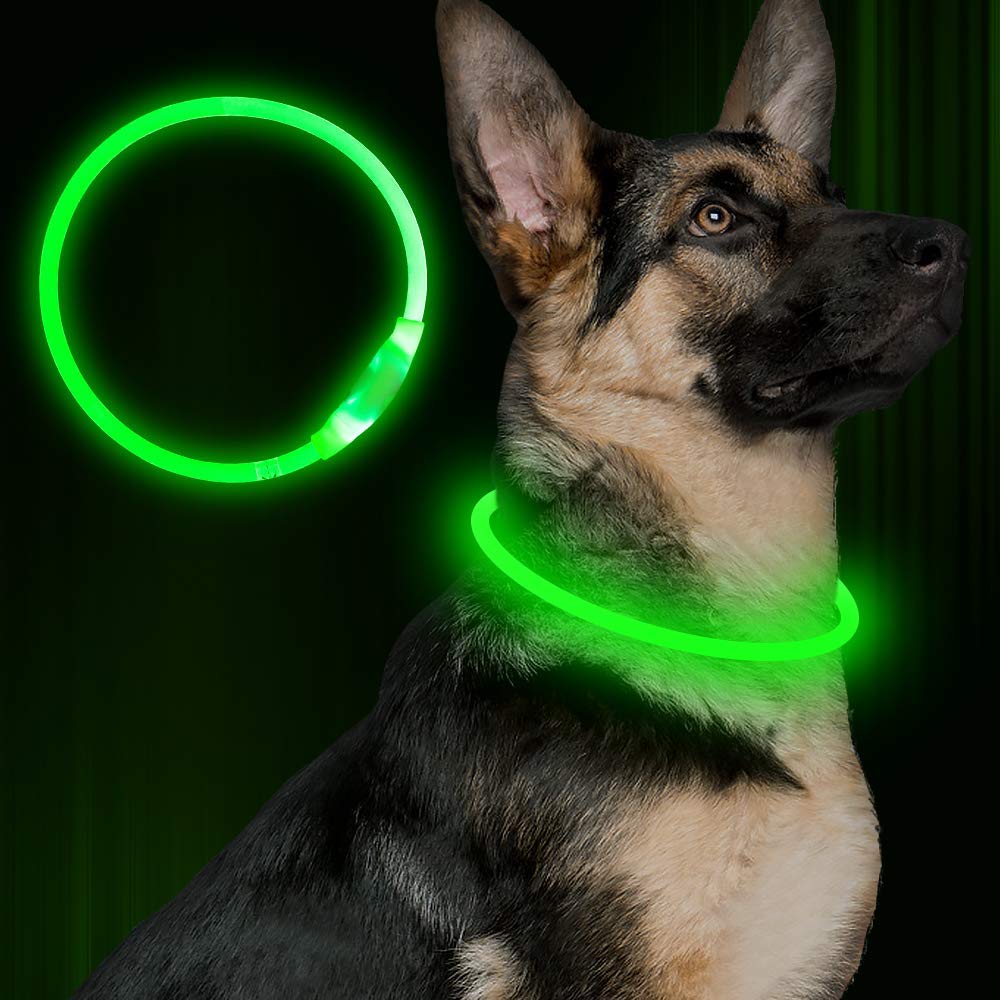 Blinkendes Haustierhalsband, USB-aufladbar, leuchtende Halskette, Sicherheitshalsband, Leuchthalsband für nächtliche Spaziergänge, elektrisches Hundehalsband, Neon
