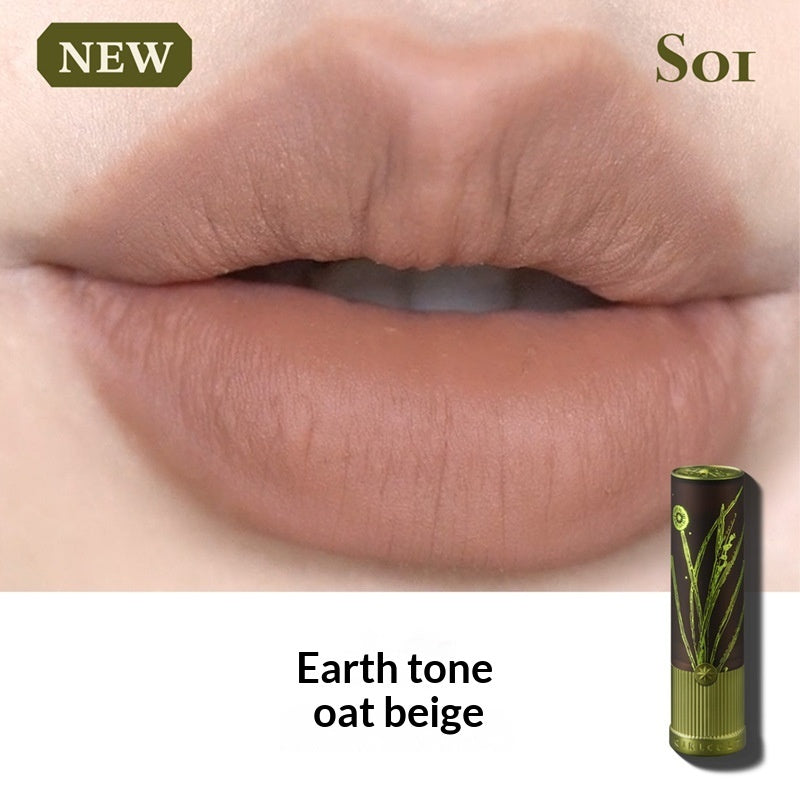 Matter, natürlicher europäischer und amerikanischer brauner Lippenstift für helle Nude-Lippen