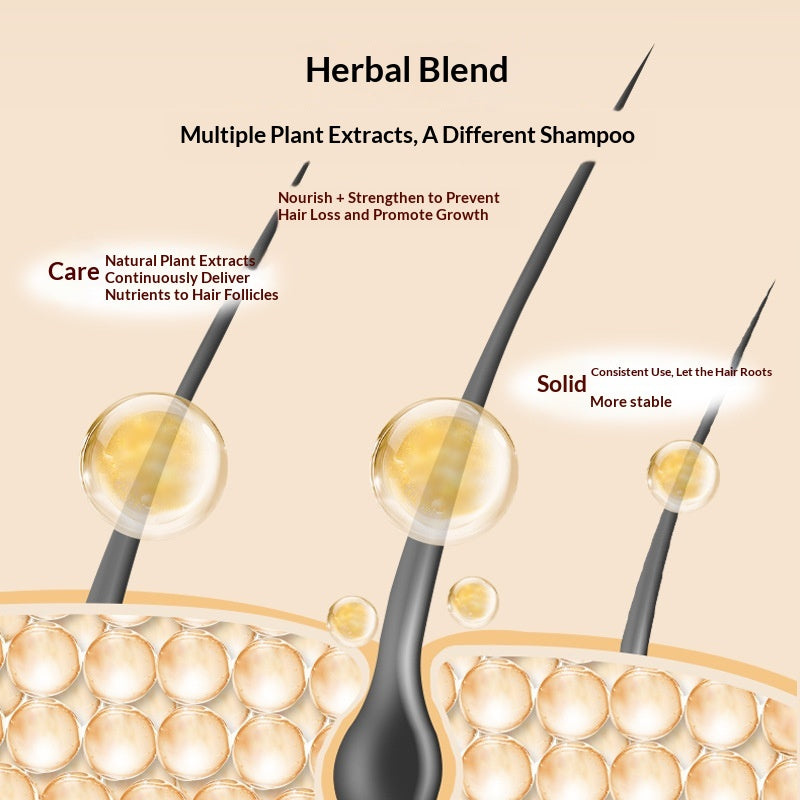 Ölregulierendes, volumengebendes und Anti-Haarausfall-Shampoo