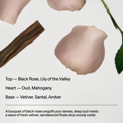 Algen-Deodorant 75ml Natürlich für Männer und Frauen