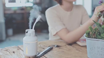 Multifunctional gas tank humidifier